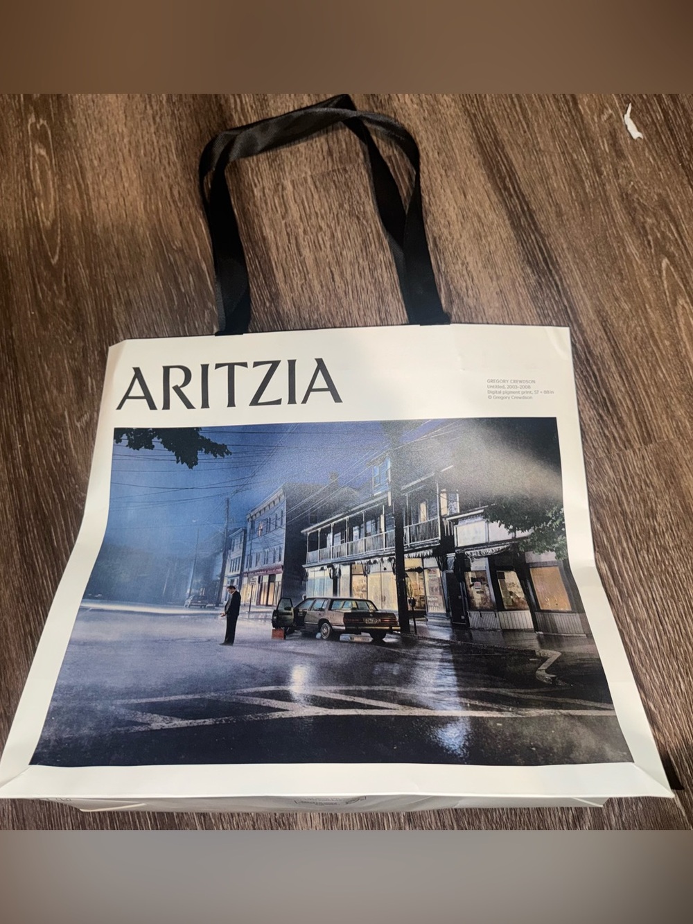 Aritzia Shopping Bag